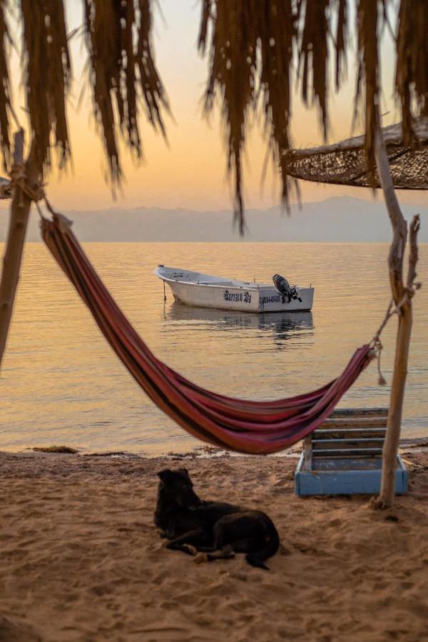 فندق Elbadawy Camp نويبع المظهر الخارجي الصورة